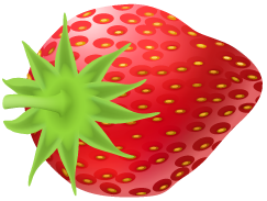 توت فرنگی
